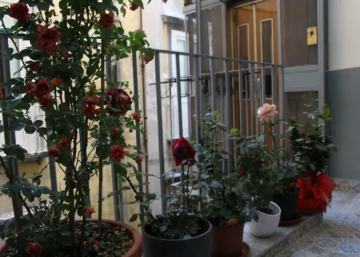 Hotel Speranzella 86 Napoli